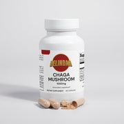 Chaga Mushroom